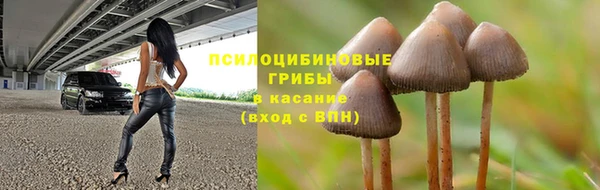 мдпв Балабаново