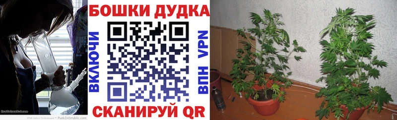 Бошки марихуана Bruce Banner  Собинка 